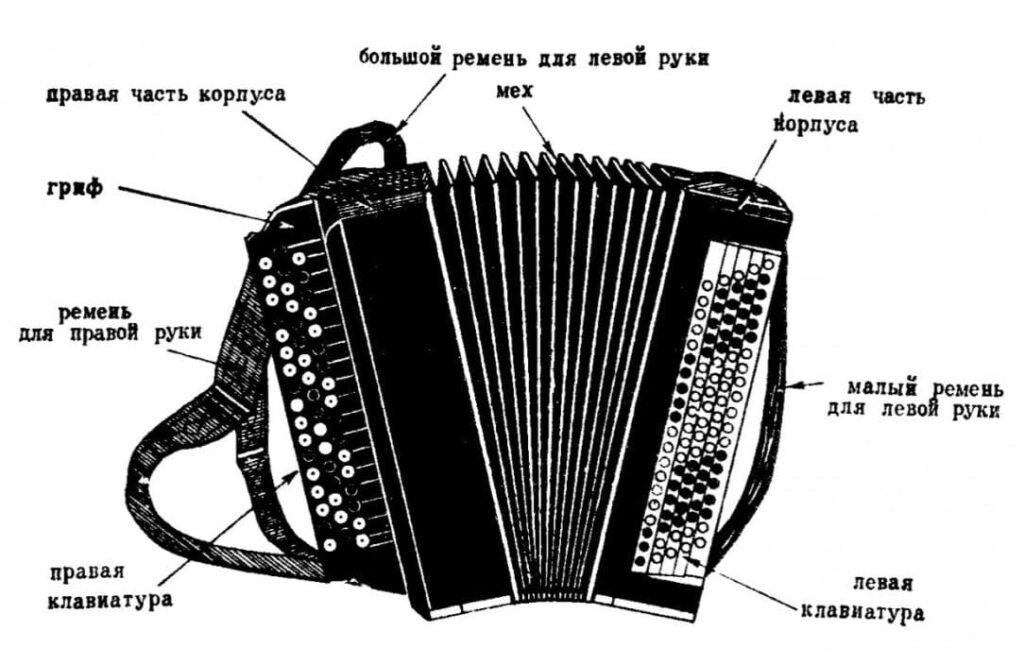 Устройство баяна схема