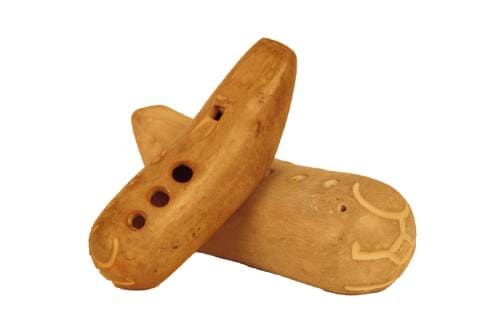 Музыкальный инструмент чопо чоор